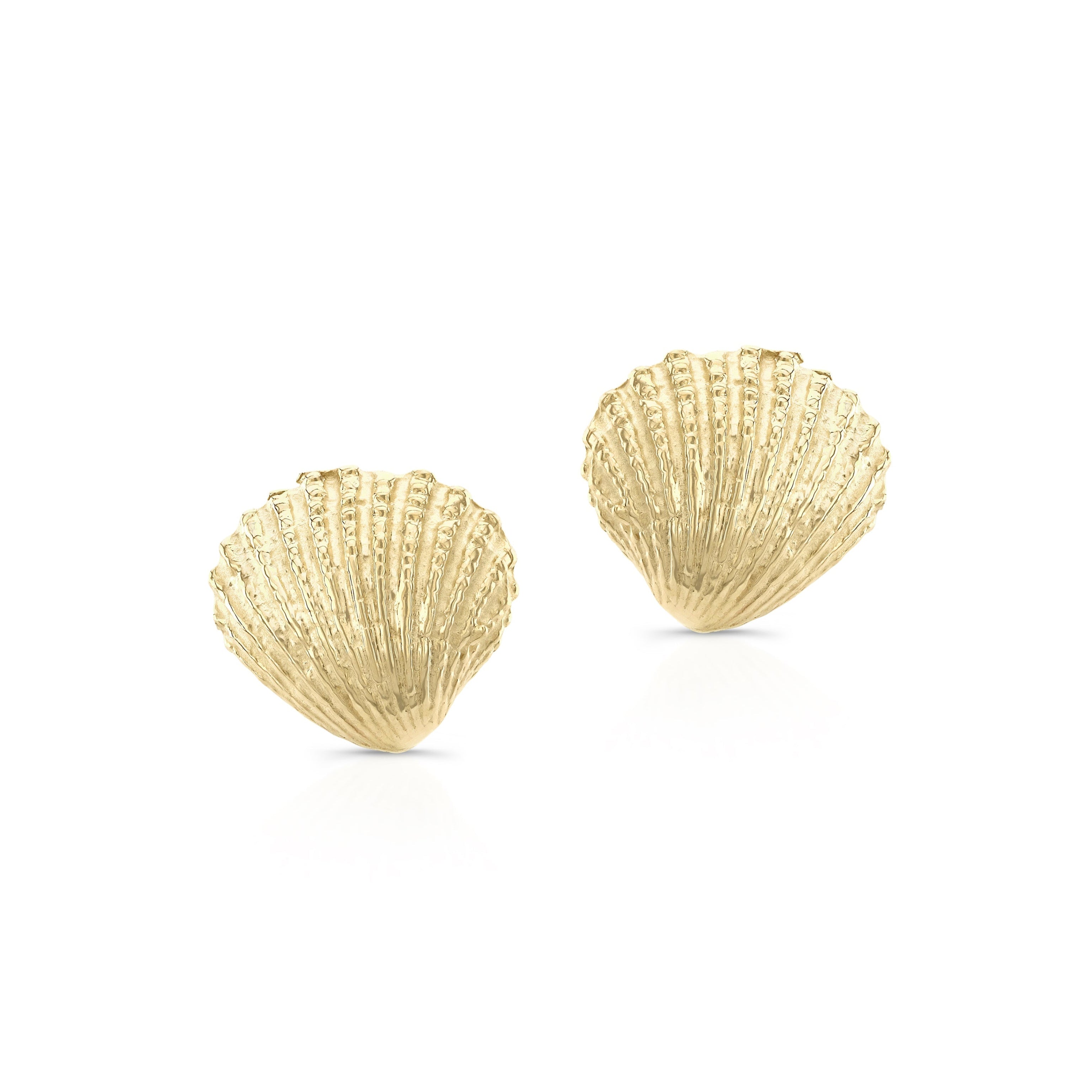 Naia Shell Stud Earrings 14K Gold