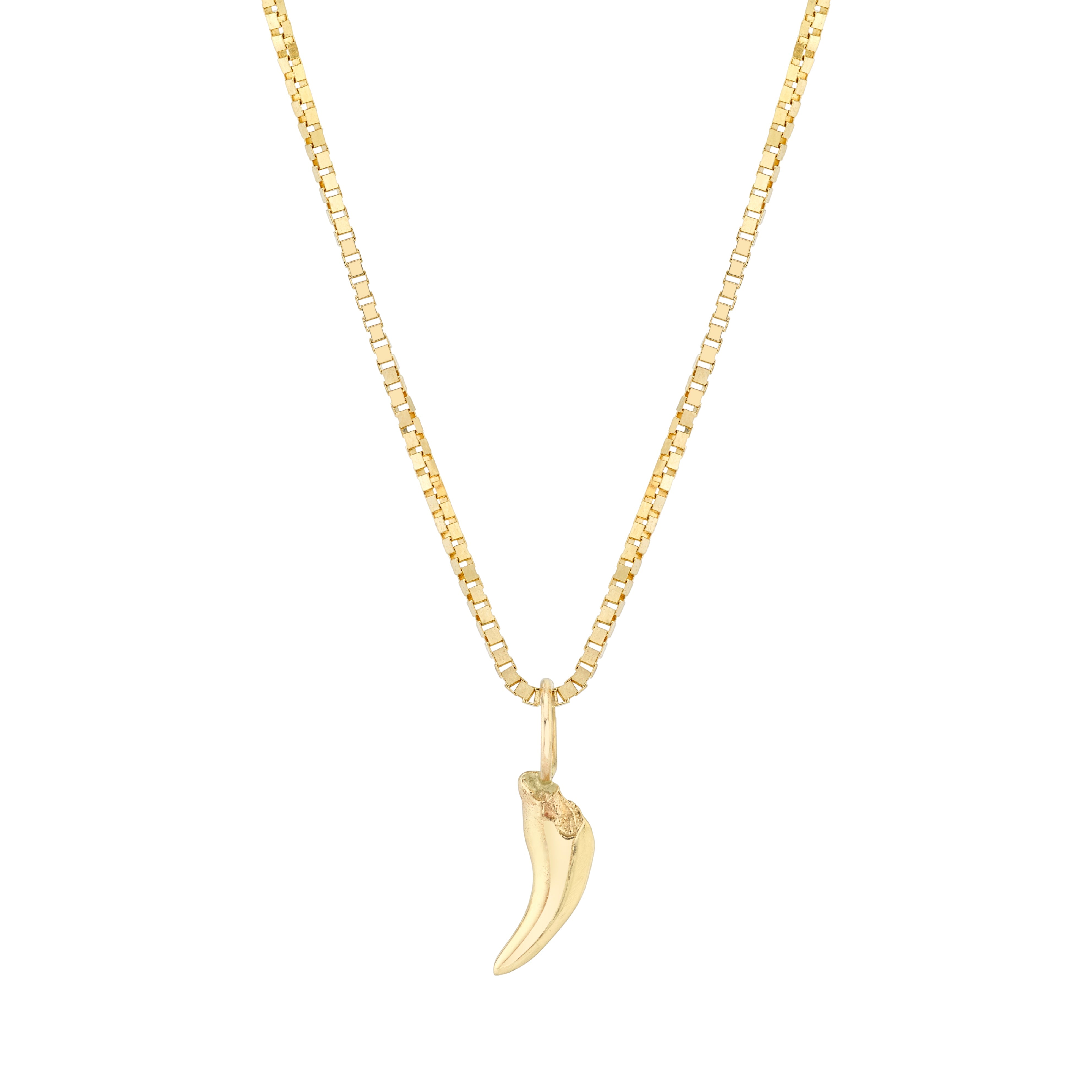 Custom 14K Gold Puppy Tooth Pendant